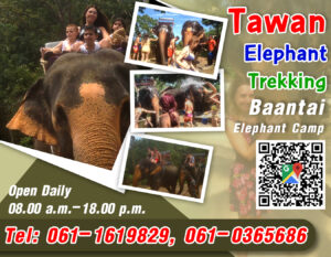 Baantai Elephant Camp