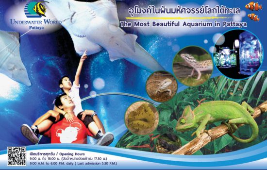 อันเดอร์วอเตอร์ เวิลด์ พัทยา Underwater world pattaya