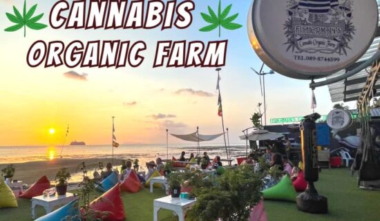 Fisherman’s Cannabis Organic Farm